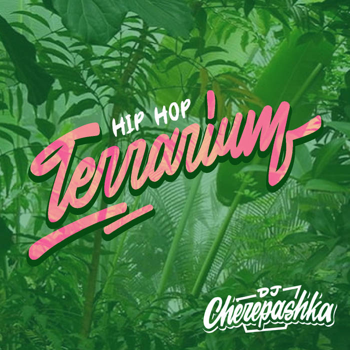 Hip​-​Hop Terrarium
